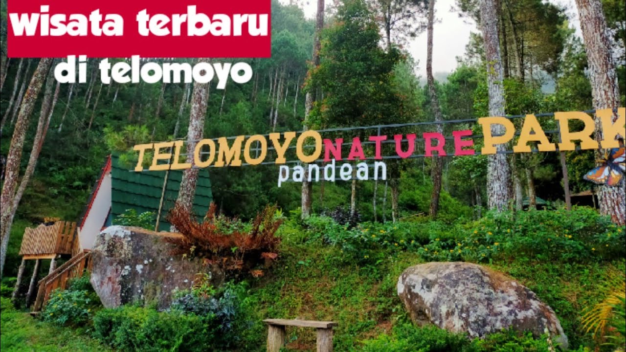 Telomoyo Nature Park: Petualangan Menakjubkan di Alam Jawa Tengah