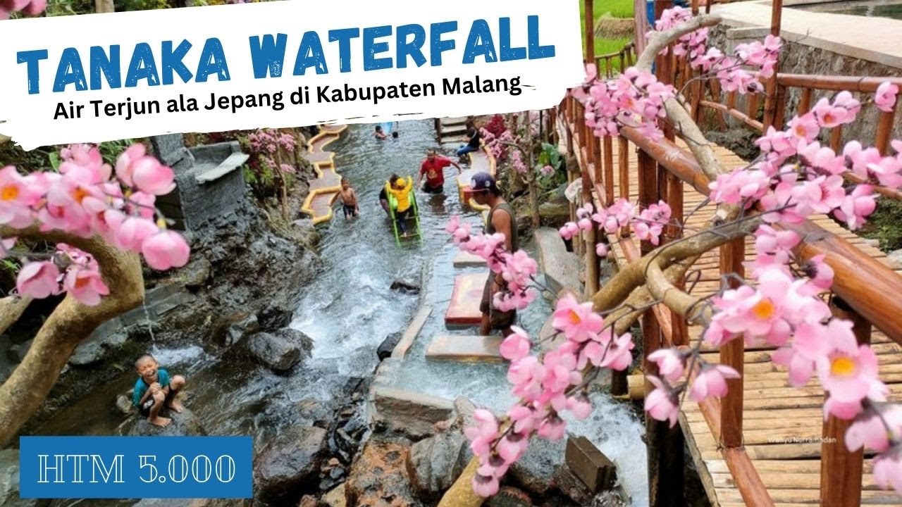 Wisata Air Terjun Tanaka: Pesona Alam Tersembunyi di Indonesia